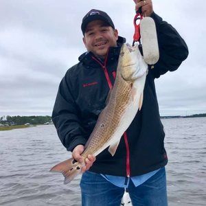 Meet your Posher, Gerardo